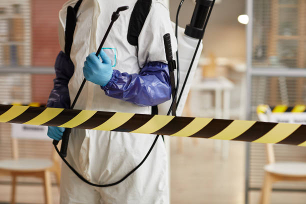Professional Sewage Cleanup technician working in Granite Falls, MN